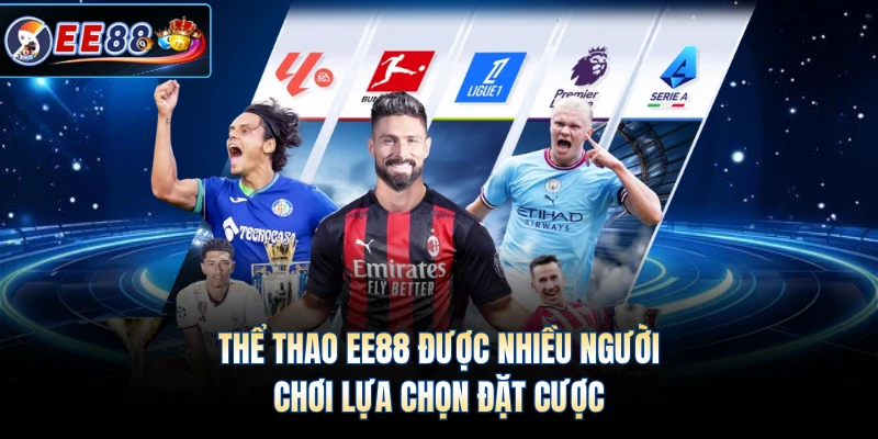 Thể thao EE88 được nhiều người chơi lựa chọn đặt cược